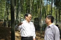 国家林业局彭有冬副局长、林云举厅长考察院实验林场白岩寺林区